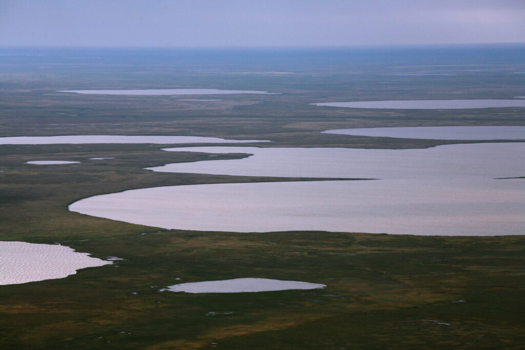 2021 09 08 Arcticheskoye field - «НОВАТЭК» получил права пользования Арктическим и Нейтинским месторождениями