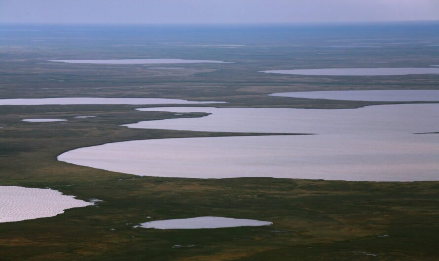 «НОВАТЭК» получил права пользования Арктическим и Нейтинским месторождениями
