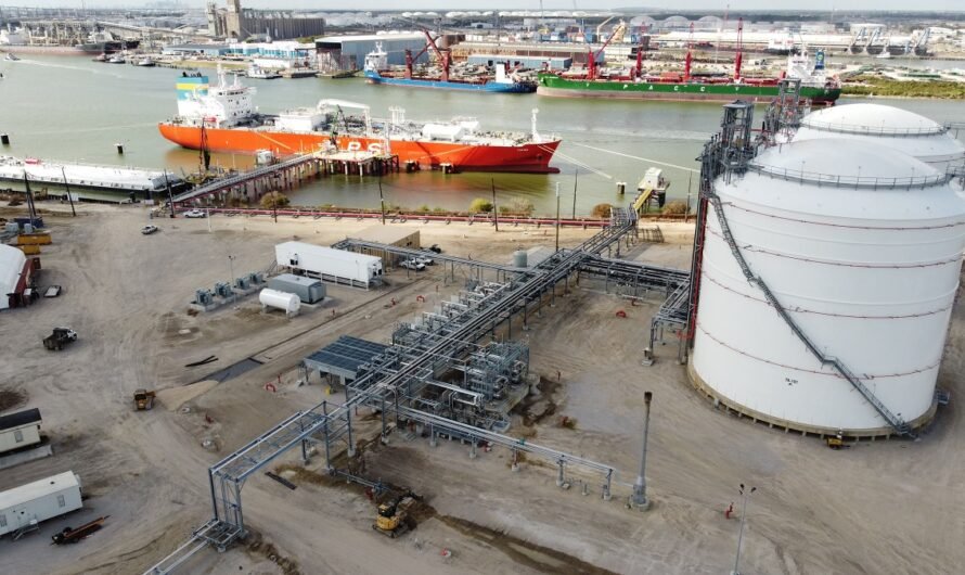В порту Хьюстона появился терминал аммиака, «готовый к энергопереходу»