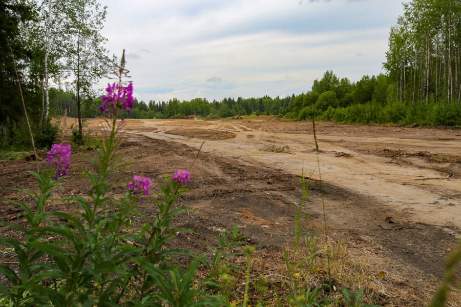 SPHR Shalya site2 2025 04 26 Shalinskiy vestnik - СПХР Шаля. Досье